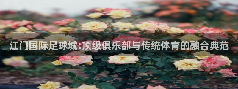  江门国际足球城:顶级俱乐部与传统体育的融合典范