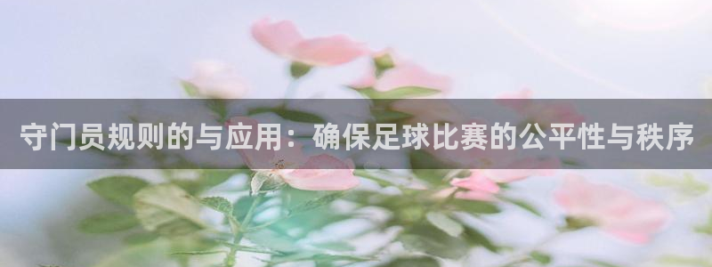  守门员规则的与应用：确保足球比赛的公平性与秩序