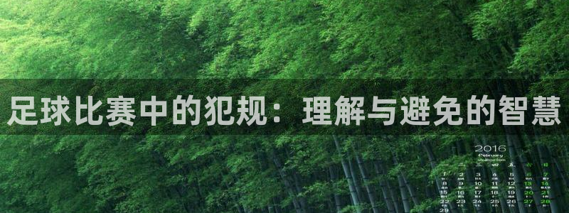  足球比赛中的犯规：理解与避免的智慧