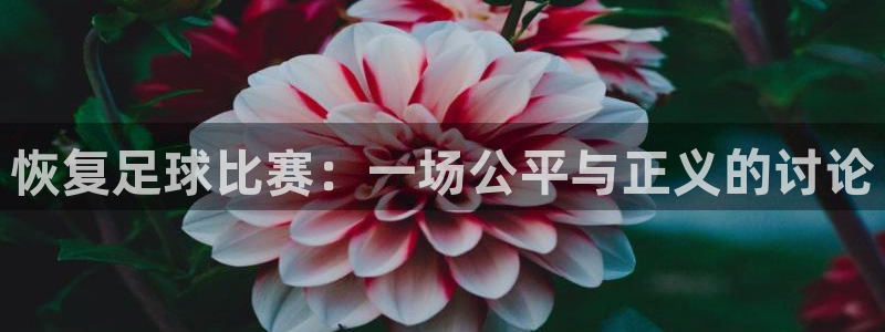  恢复足球比赛：一场公平与正义的讨论