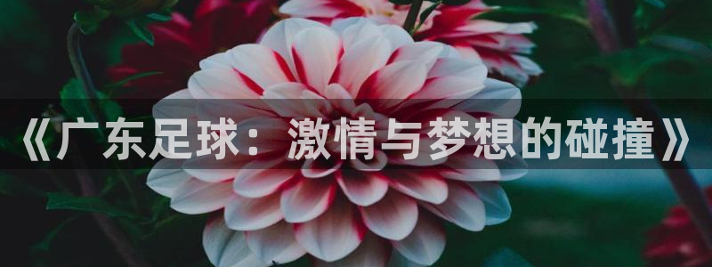  《广东足球：激情与梦想的碰撞》