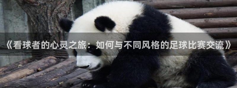 《看球者的心灵之旅：如何与不同风格的足球比赛交流》