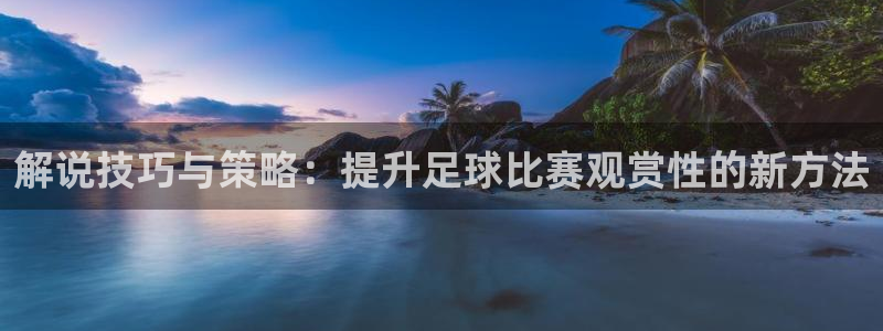  解说技巧与策略：提升足球比赛观赏性的新方法
