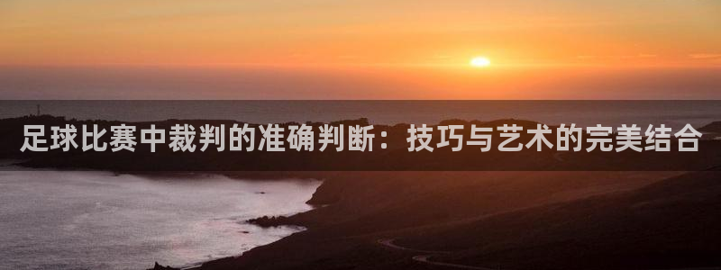 足球比赛中裁判的准确判断：技巧与艺术的完美结合