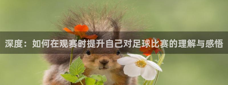  深度：如何在观赛时提升自己对足球比赛的理解与感悟