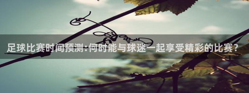 足球比赛时间预测:何时能与球迷一起享受精彩的比赛？