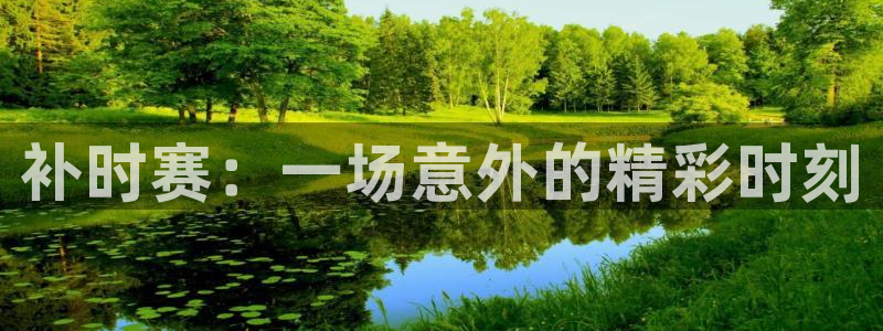  补时赛：一场意外的精彩时刻
