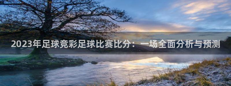  2023年足球竞彩足球比赛比分：一场全面分析与预测