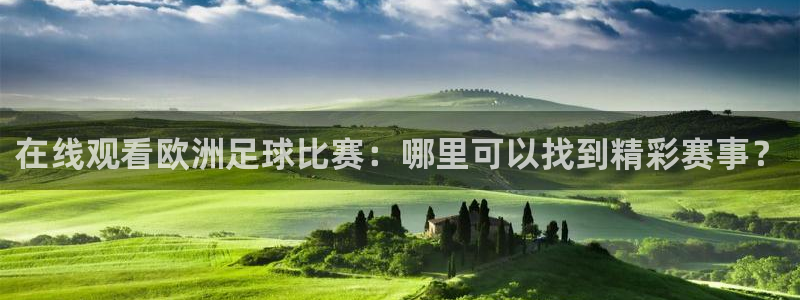  在线观看欧洲足球比赛：哪里可以找到精彩赛事？