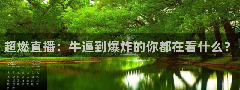 球神直播体育在线观看