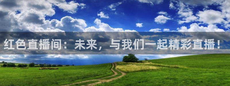 球神直播体育在线观看：红色直播间：未来，与我们一起精彩直播！