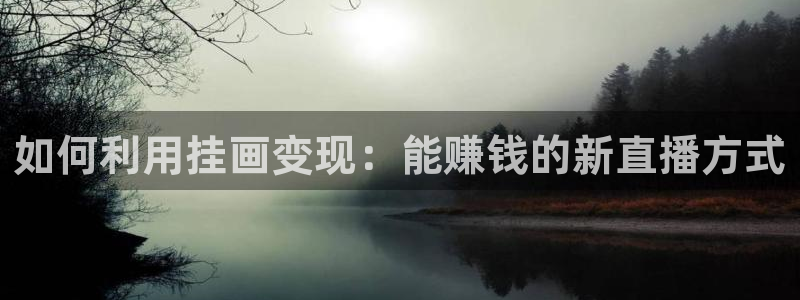 nba球神直播在线观看：如何利用挂画变现：能赚钱的新直播方式