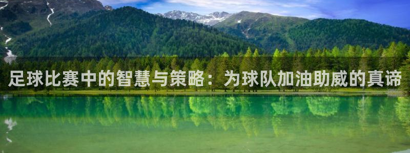 足球比赛中的智慧与策略：为球队加油助
