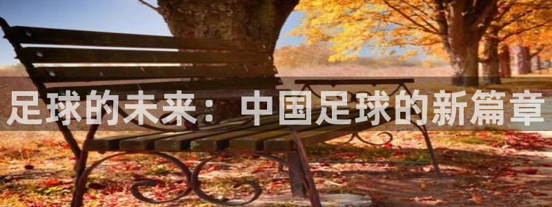 足球的未来：中国足球的新篇章