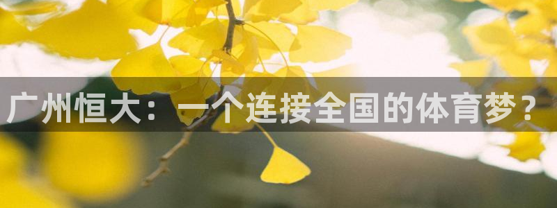 广州恒大：一个连接全国的体育梦？