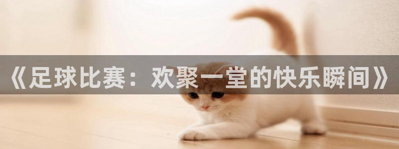 《足球比赛：欢聚一堂的快乐瞬间》