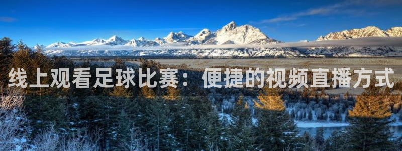 线上观看足球比赛：便捷的视频直播方式