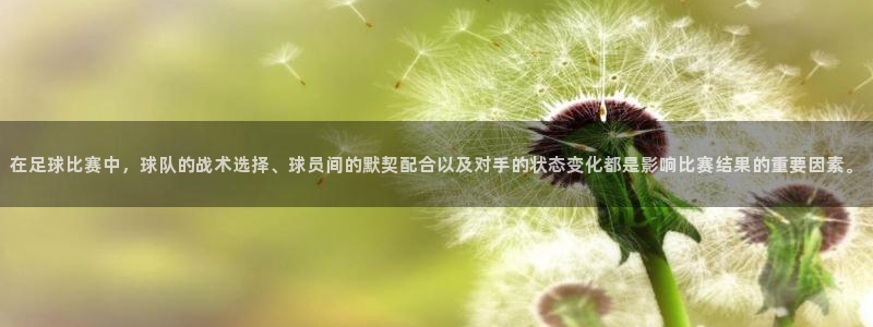 在足球比赛中，球队的战术选择、球员间