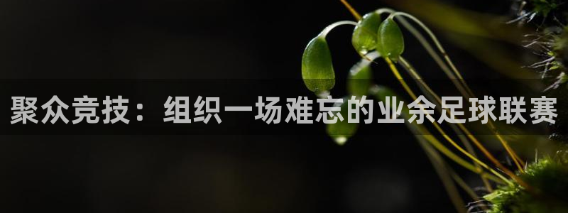 聚众竞技：组织一场难忘的业余足球联赛