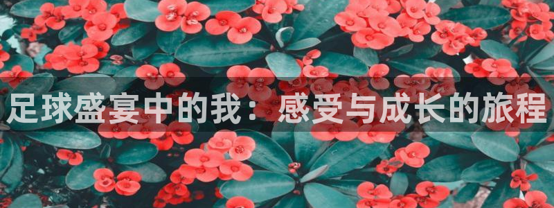足球盛宴中的我：感受与成长的旅程