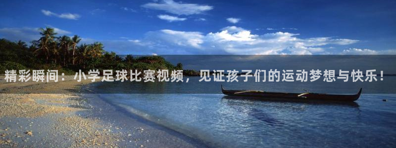 精彩瞬间：小学足球比赛视频，见证孩子