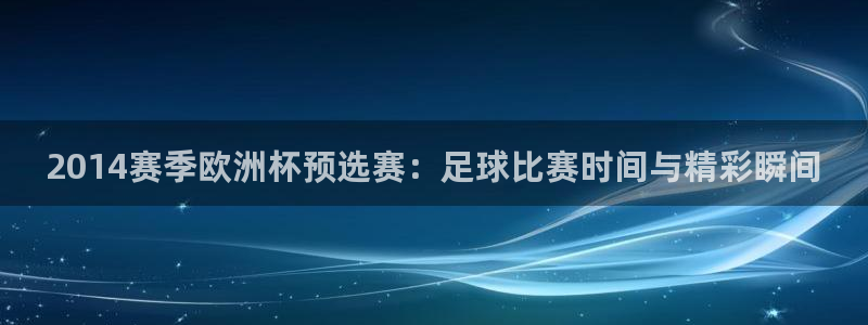 2014赛季欧洲杯预选赛：足球比赛时