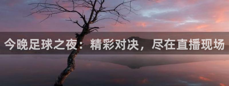 今晚足球之夜：精彩对决，尽在直播现场