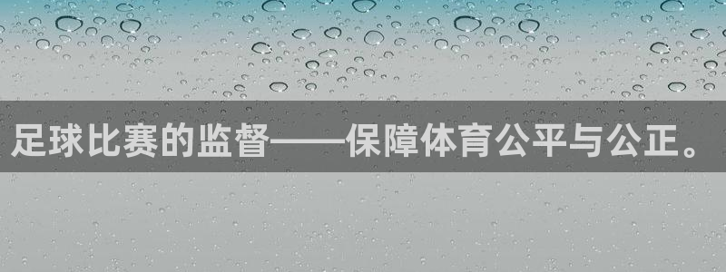 足球比赛的监督——保障体育公平与公正