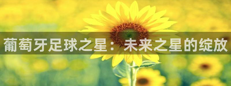 葡萄牙足球之星：未来之星的绽放