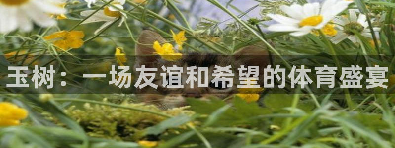 玉树：一场友谊和希望的体育盛宴