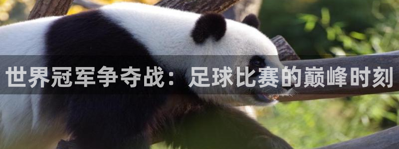  世界冠军争夺战：足球比赛的巅峰时刻