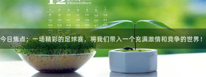  今日焦点：一场精彩的足球赛，将我们带入一个充满激情和竞争的世