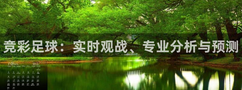 竞彩足球：实时观战、专业分析与预测