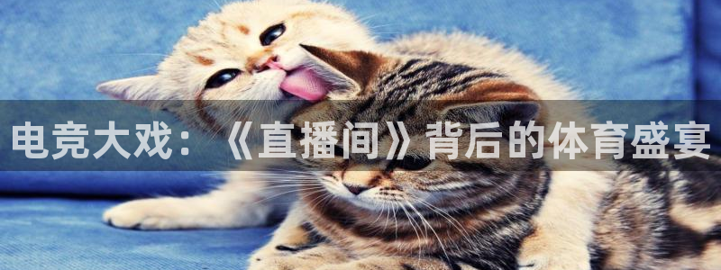 球神直播足球直播：电竞大戏：《直播间》背后的体育盛宴