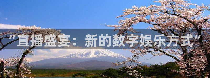 球神直播首页：“直播盛宴：新的数字娱乐方式”