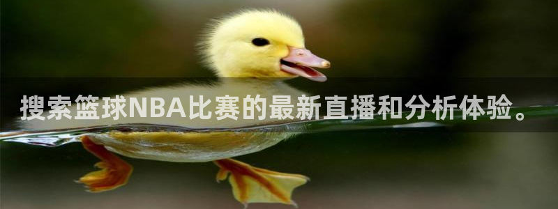 球神直播足球直播在线观看：搜索篮球NBA比赛的最新直播和分析体验。
