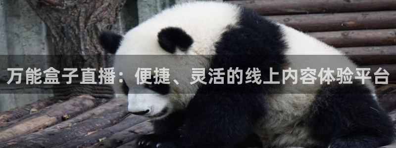 球神直播nba在线直播免费观看：万能盒子直播：便捷、灵活的线上内容体验平台